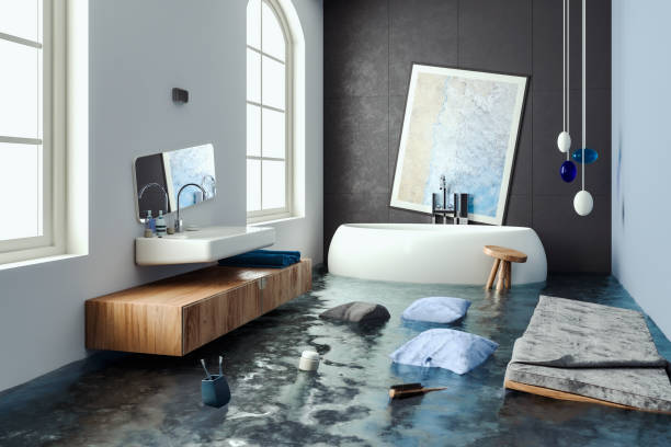 Best Professional water damage repair  in New Baltimore, OH