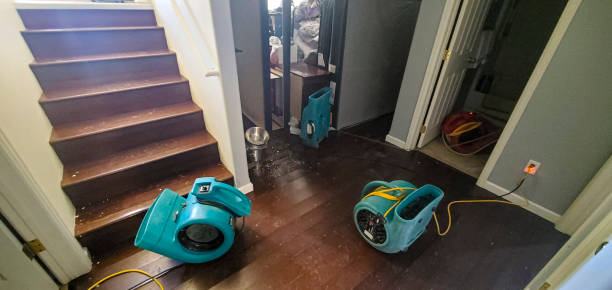 Best Flood restoration services  in New Baltimore, OH
