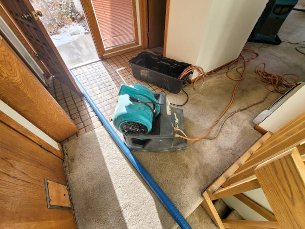 Best Emergency water damage restoration  in New Baltimore, OH