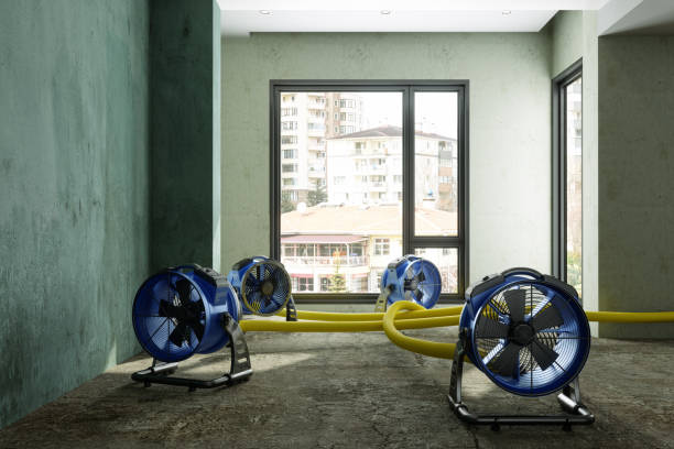 Best Basement water damage restoration  in New Baltimore, OH